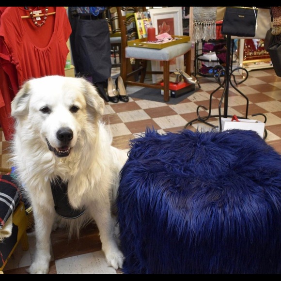 Lucky Dog Thrift Shop - Picture 7 of 8